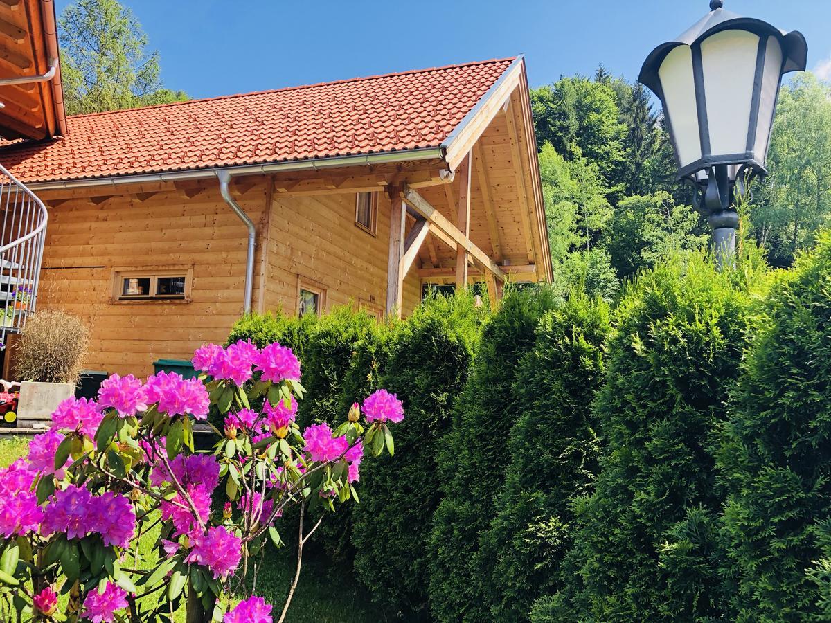 Mountain Inn Chalets & Apartments Walchsee Ngoại thất bức ảnh